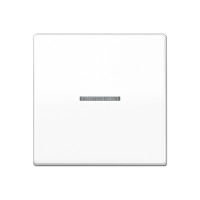 Jung ABAS 591 KO5 WW Клавиша с окошком