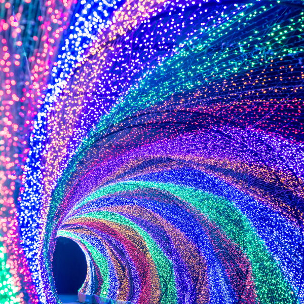 Оборудование Arlight 024861 Светодиодная гирлянда ARD-CURTAIN-CLASSIC-2000x3000-CLEAR-760LED Blue (230V, 60W) (ARDCL, IP65) по выгодной цене. Купить в Москве со скидкой.