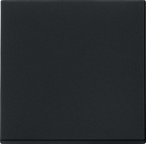 Gira 0296005 Клавиша