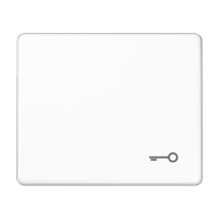 Jung SL 590 T WW Клавиша с символом «ключ»