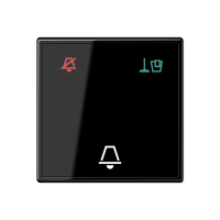 Jung A CU KO6 M SW Накладка (стекло) для внешнего модуля