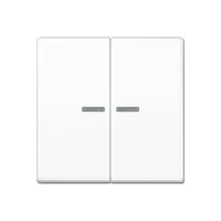 Jung ABAS 591-5 KO5 WW Клавиша с окошком