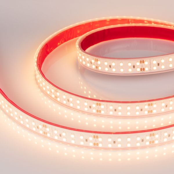 Оборудование Arlight 014954 Светодиодная лента RTW 2-5000P 24V Warm2700 2x2 (3528, 1200 LED, LUX) (Arlight, 19.2 Вт/м, IP66) по выгодной цене. Купить в Москве со скидкой.