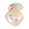 Arlight 031840 Модуль светодиодный PLURIO-LAMP-R77-9W Warm3000 (BRS, 36 deg, 2-2, 38V, 200mA) (Arlight, Металл)