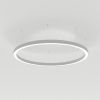 Arlight 034008(1) Светильник SP-LINE-HANG-ARC-O3535-D800-65W Day4000 (WHITE, 230V) (Arlight, Металл)