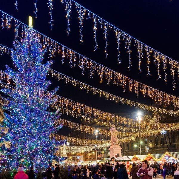 Оборудование Arlight 026038 Светодиодная гирлянда ARD-EDGE-PRO-5600x900-WHITE-240LED-FLASH WARM (230V, 15W) (Ardecoled, IP65) по выгодной цене. Купить в Москве со скидкой.