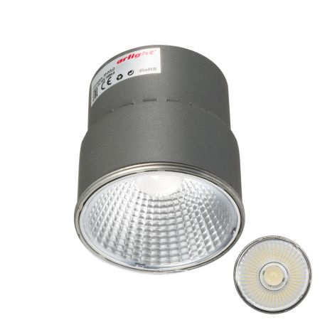 Arlight 020878 Светодиодный модуль SP-POLO-15W Day White 40deg (2-3) (Arlight, Металл)