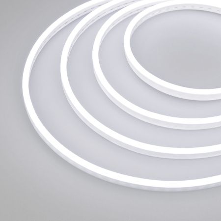 Arlight 030967 Образец Гибкий неон GALAXY-1206-5000CFS-2835-100 12V White 0.5M (12x6mm, 12W, IP67) (Arlight, 12 Вт/м, IP67)