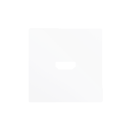 Zennio 830002509 ZS55, Накладка для двойного зарядного устройства USB C+A 55x55 мм, Шампанское