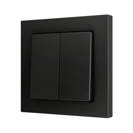 Zennio ZS552PB2A ZS55, Двойная мягкая кнопка для 2 бинарных входов 55x55 мм – Антрацит