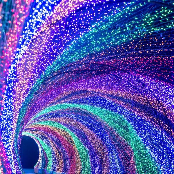 Оборудование Arlight 025806 Светодиодная гирлянда ARD-STRING-CLASSIC-10000-BLACK-100LED-STD PINK (230V, 7W) (Ardecoled, IP65) по выгодной цене. Купить в Москве со скидкой.