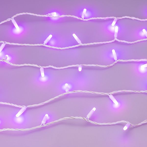 Оборудование Arlight 031748 Светодиодная гирлянда ARD-STRING-CLASSIC-10000-WHITE-100LED-MILK-LIVE RGB-DMX (24V, 10W) (Ardecoled, IP65) по выгодной цене. Купить в Москве со скидкой.