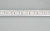 Оборудование Arlight 027039 Светодиодная лента RSW 2-5000P 12V Cool 10K 2x (3014, 120 LED/m, LUX) (Arlight, 9.6 Вт/м, IP66) по выгодной цене. Купить в Москве со скидкой.