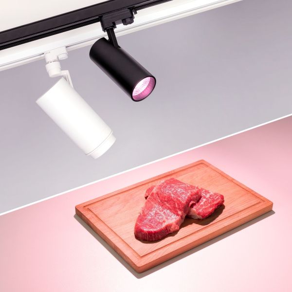 Оборудование Arlight 032463 Светильник LGD-GERA-4TR-R74-20W Warm SP2900-Meat (WH, 24 deg, 230V) (Arlight, IP20 Металл, 3 года) по выгодной цене. Купить в Москве со скидкой.