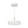 Arlight 033919 Светильник SP-ELEGANT-R300-17W Day4000 (WH, 120 deg, 230V) (Arlight, IP20 Металл, 3 года)