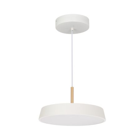 Arlight 033919 Светильник SP-ELEGANT-R300-17W Day4000 (WH, 120 deg, 230V) (Arlight, IP20 Металл, 3 года)