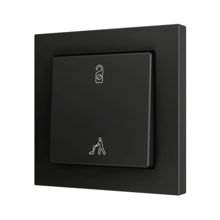 Zennio ZS551PB2AC ZS55, Простая мягкая кнопка для 2 бинарных входов 55x55 мм – Антрацит – На заказ