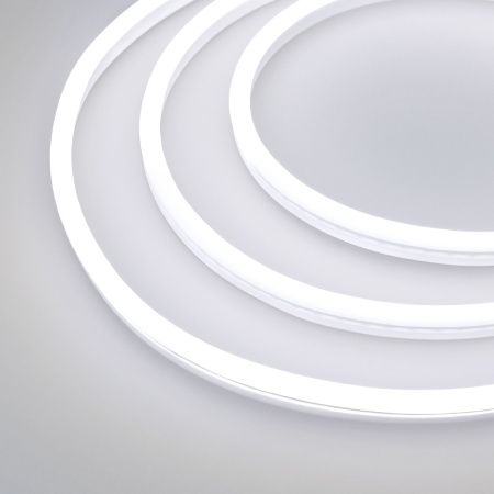 Arlight 030978 Образец Гибкий неон GALAXY-1608-5000CFS-2835-100 12V White 0.5M (16x8mm, 12W, IP67) (Arlight, 12 Вт/м, IP67)