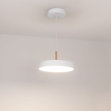 Оборудование Arlight 033919 Светильник SP-ELEGANT-R300-17W Day4000 (WH, 120 deg, 230V) (Arlight, IP20 Металл, 3 года) по выгодной цене. Купить в Москве со скидкой.