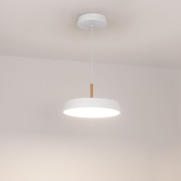 Оборудование Arlight 033919 Светильник SP-ELEGANT-R300-17W Day4000 (WH, 120 deg, 230V) (Arlight, IP20 Металл, 3 года) по выгодной цене. Купить в Москве со скидкой.