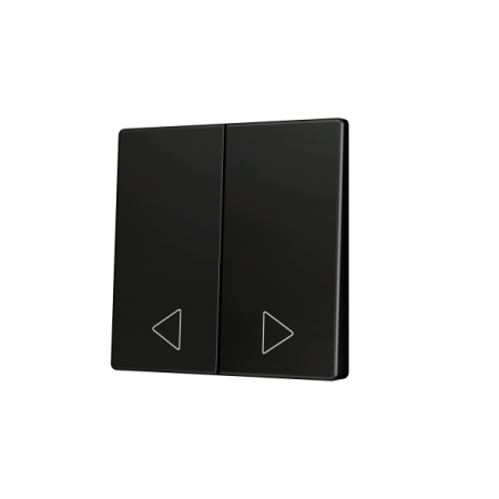 Zennio ZS55CSOFT22AC ZS55, Накладка для кнопки Double KNX Soft 55x55 мм, Наклон вниз, Антрацит, На заказ