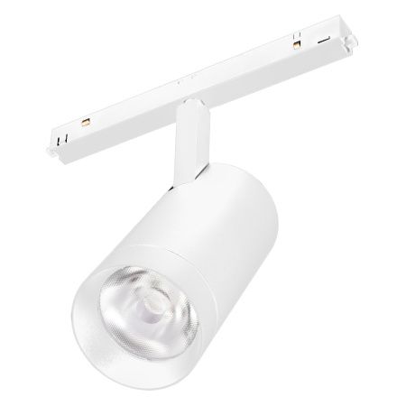Arlight 037122 Светильник MAG-ORIENT-SPOT-R65-20W Day4000 (WH, 24 deg, 48V) (Arlight, IP20 Металл, 3 года)