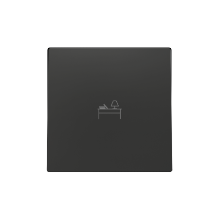 Zennio 830004205 ZS55, Защитная накладка на один переключатель 55x55 мм, Антрацит, На заказ