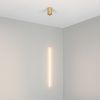 Оборудование Arlight 036952 Светильник SP-UMBRA-HANG-V-L600-10W Warm3000 (GD, 120 deg, 230V) (Arlight, IP20 Металл, 3 года) по выгодной цене. Купить в Москве со скидкой.