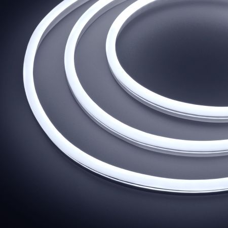 Оборудование Arlight 030978 Образец Гибкий неон GALAXY-1608-5000CFS-2835-100 12V White 0.5M (16x8mm, 12W, IP67) (Arlight, 12 Вт/м, IP67) по выгодной цене. Купить в Москве со скидкой.