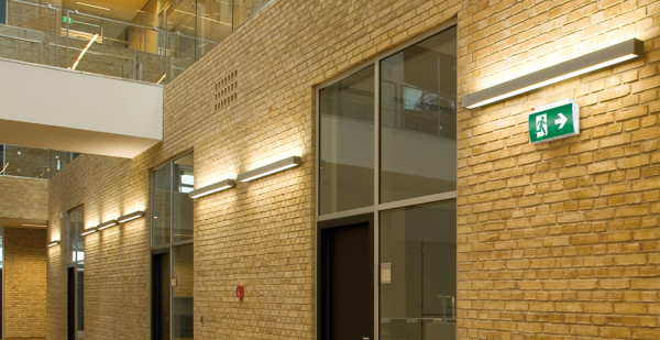 Оборудование Esylux EN10061806 Аварийный Светильник SLE серия EL по выгодной цене. Купить в Москве со скидкой.