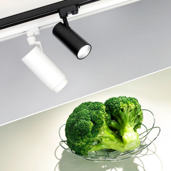 Оборудование Arlight 032461 Светильник LGD-GERA-4TR-R74-20W Day SP5000-Veg (WH, 24 deg, 230V) (Arlight, IP20 Металл, 3 года) по выгодной цене. Купить в Москве со скидкой.