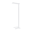 Esylux EO10306044 Напольный светильник ISABELLEсерия FSL