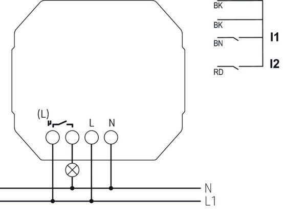Оборудование Theben 4800620 Беспроводные бинарные выходы, 1 канал, для системы LUXORliving LUXORliving S1 RF по выгодной цене. Купить в Москве со скидкой.