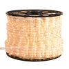 Arlight 025504 Дюралайт ARD-PRO-LIVE Warm (220V, 36 LED/m, 100m) (ARDCL, Закрытый)